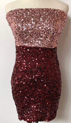 Strapless Two Tone Sequin Dress