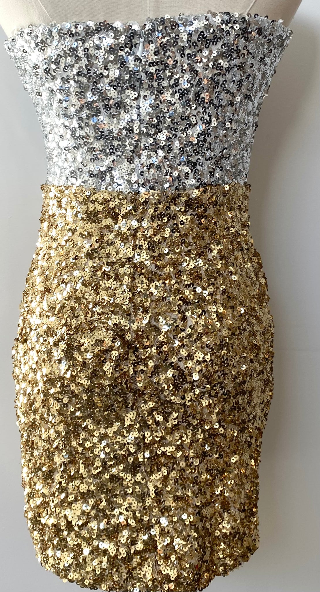 Strapless Two Tone Sequin Dress