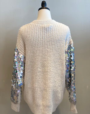 Sequin Sleeve Sweater