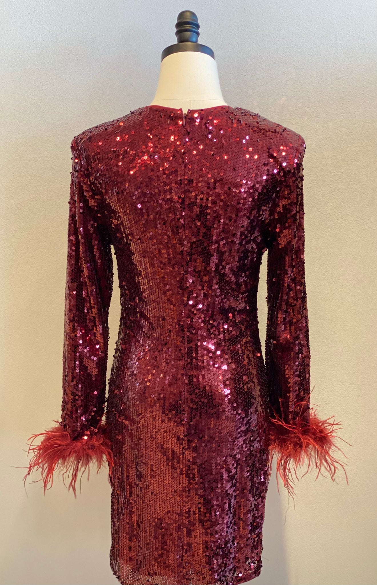 Sequins And Feathers Long Sleeve Dress