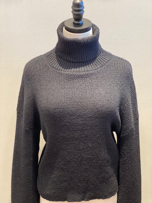 Soft and Classic Turtleneck Pullover
