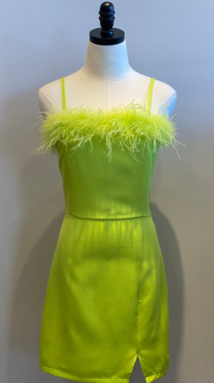 Feather Trim Off Shoulder Mini Dress