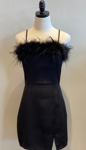 Feather Trim Off Shoulder Mini Dress